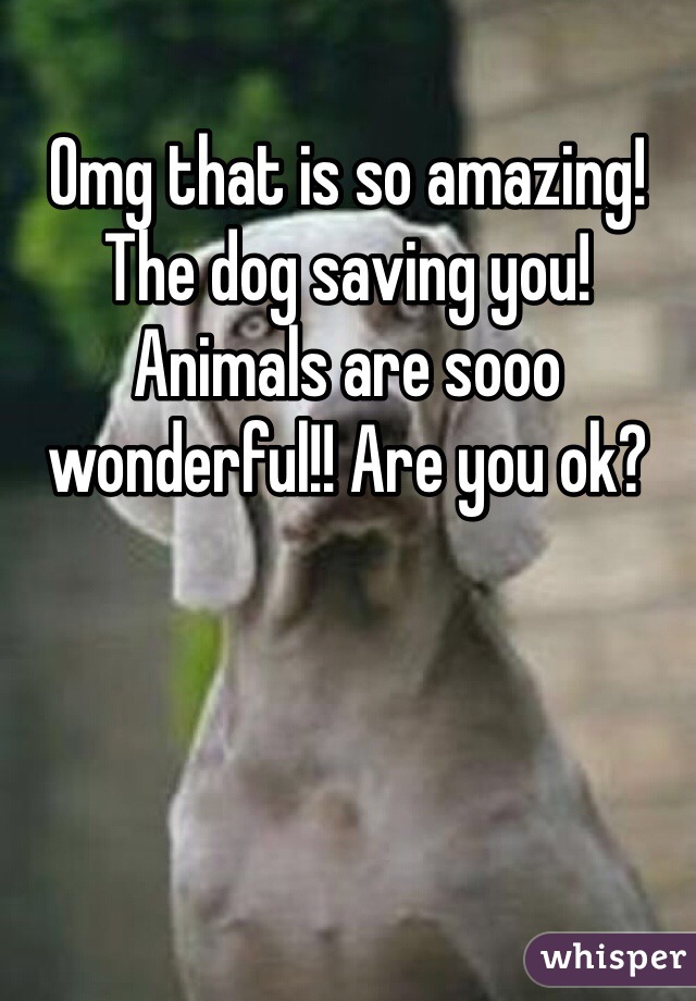 Omg that is so amazing! The dog saving you! Animals are sooo wonderful!! Are you ok?