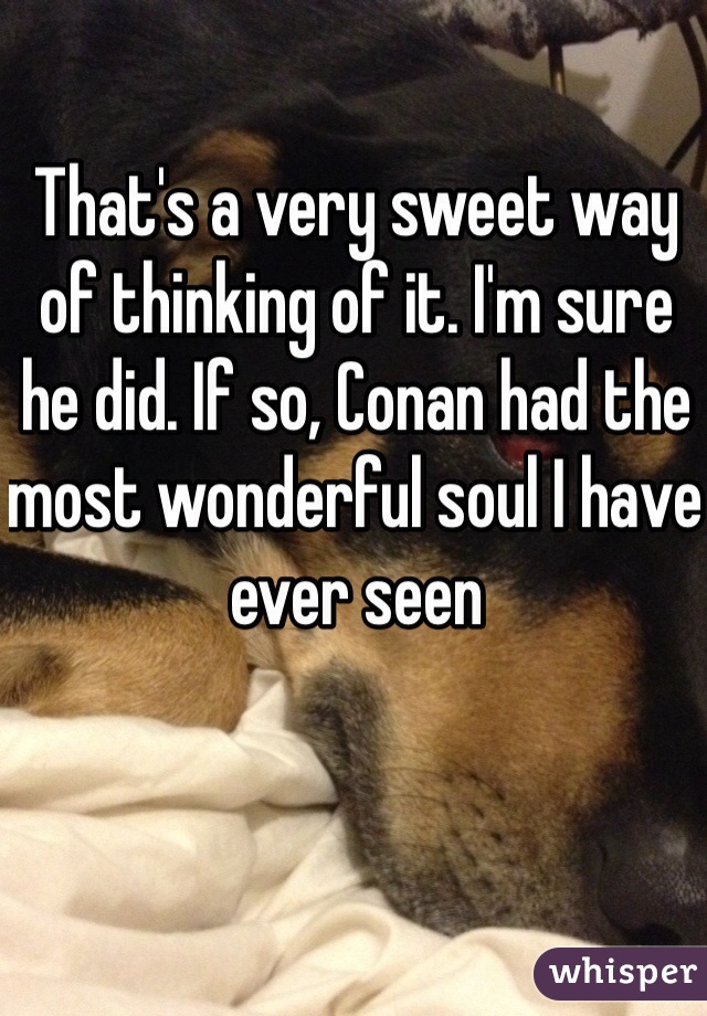 That's a very sweet way of thinking of it. I'm sure he did. If so, Conan had the most wonderful soul I have ever seen