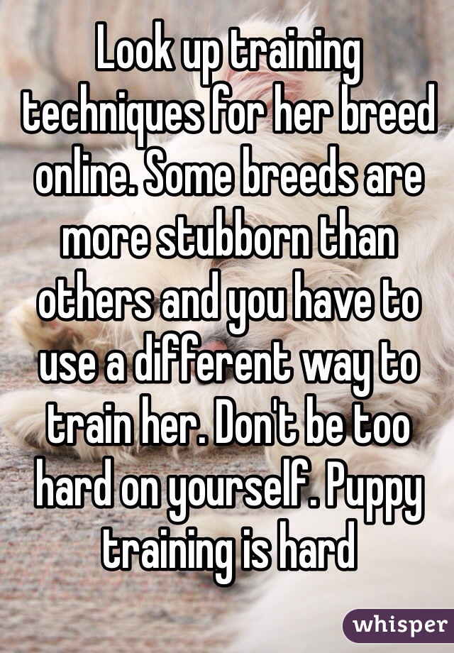 Look up training techniques for her breed online. Some breeds are more stubborn than others and you have to use a different way to train her. Don't be too hard on yourself. Puppy training is hard
