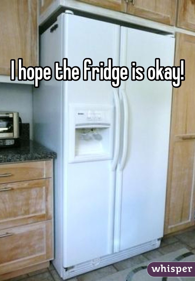 I hope the fridge is okay!