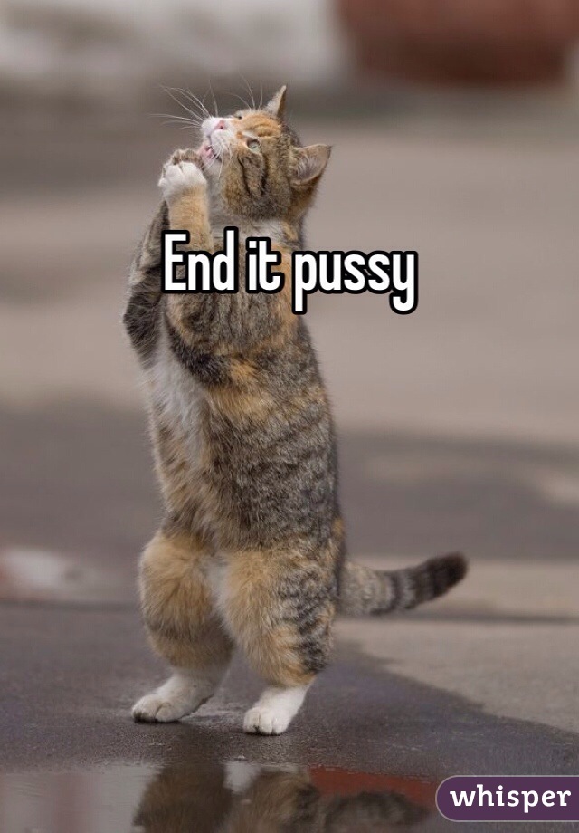End it pussy