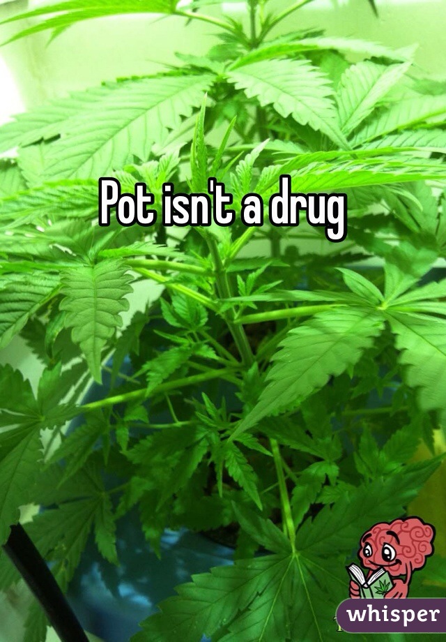 Pot isn't a drug