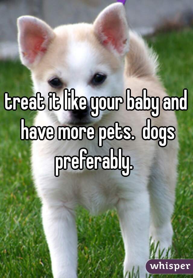 treat it like your baby and have more pets.  dogs preferably.  