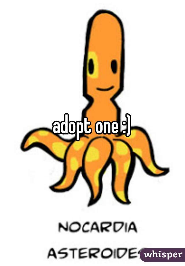 adopt one :)