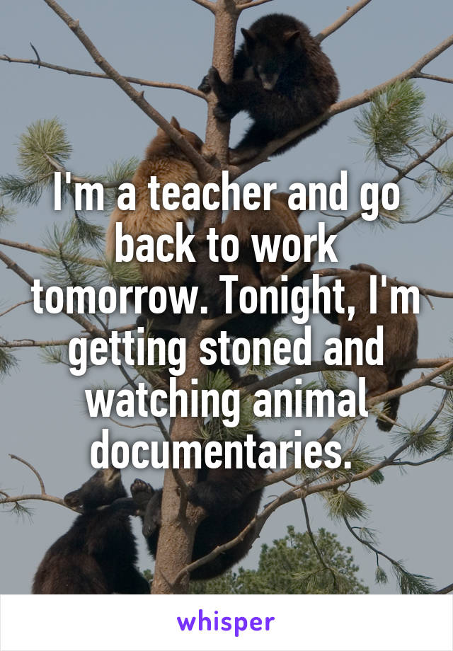I'm a teacher and go back to work tomorrow. Tonight, I'm getting stoned and watching animal documentaries. 