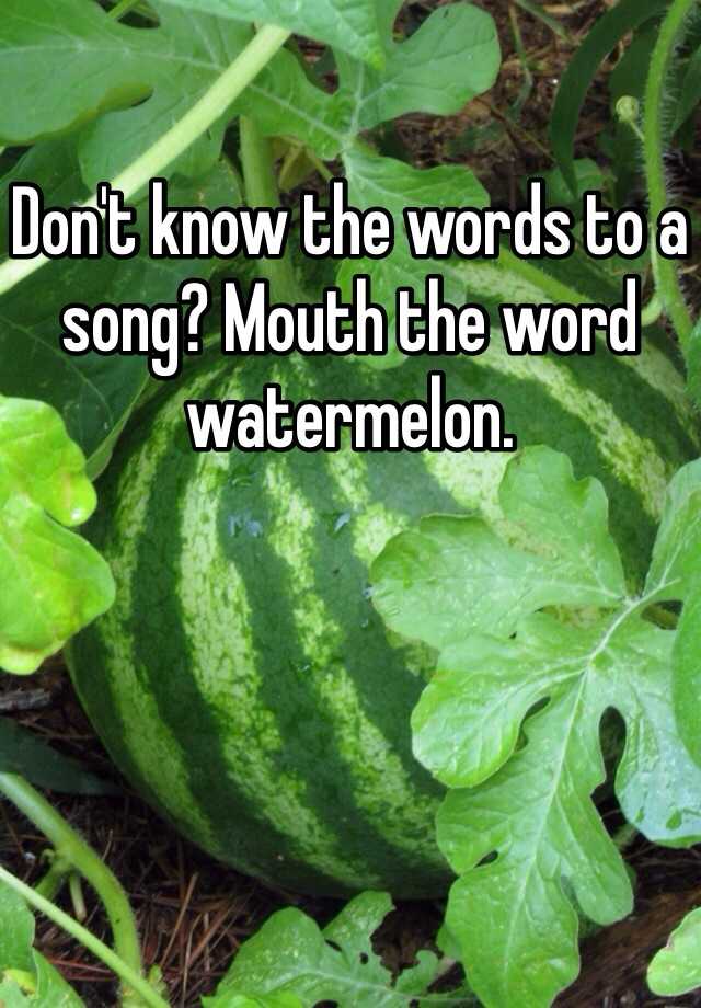 don-t-know-the-words-to-a-song-mouth-the-word-watermelon