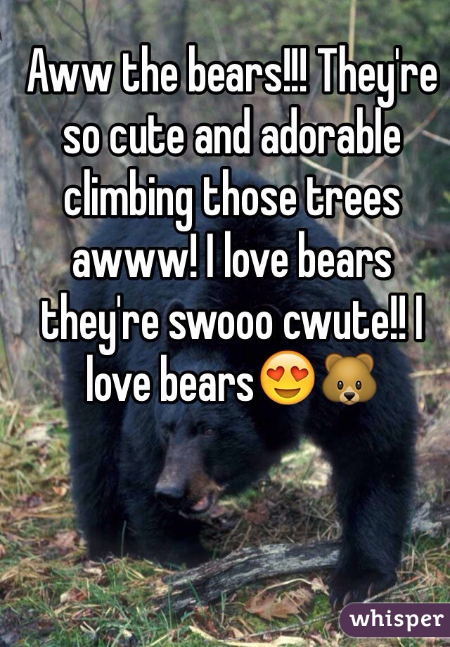Aww the bears!!! They're so cute and adorable climbing those trees awww! I love bears they're swooo cwute!! I love bears😍🐻