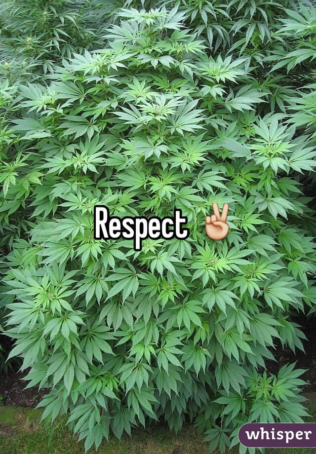Respect ✌️ 