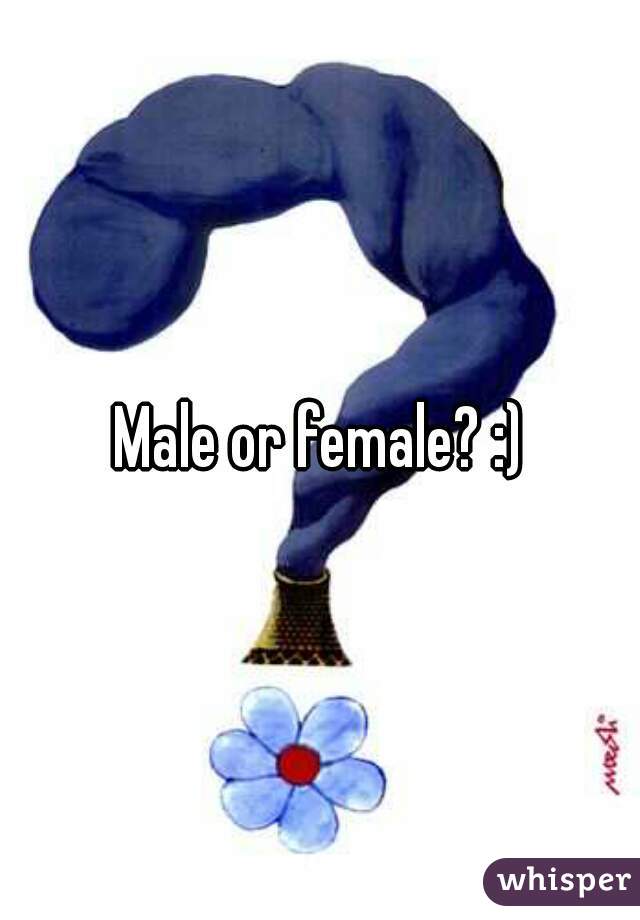 Male or female? :)