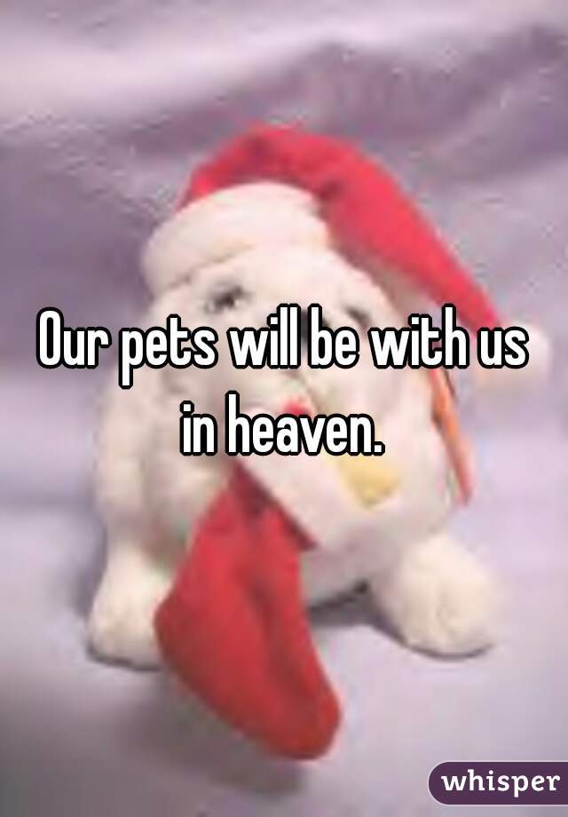 Our pets will be with us
 in heaven. 