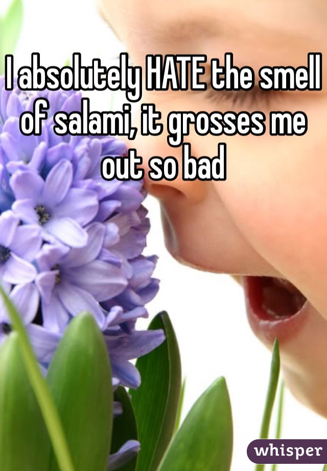 I absolutely HATE the smell of salami, it grosses me out so bad 