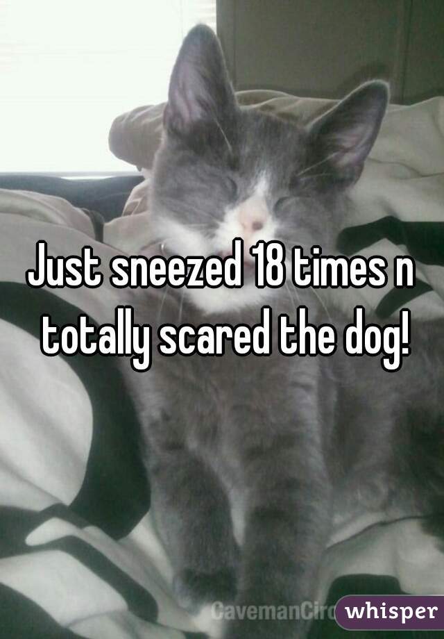 Just sneezed 18 times n totally scared the dog!
