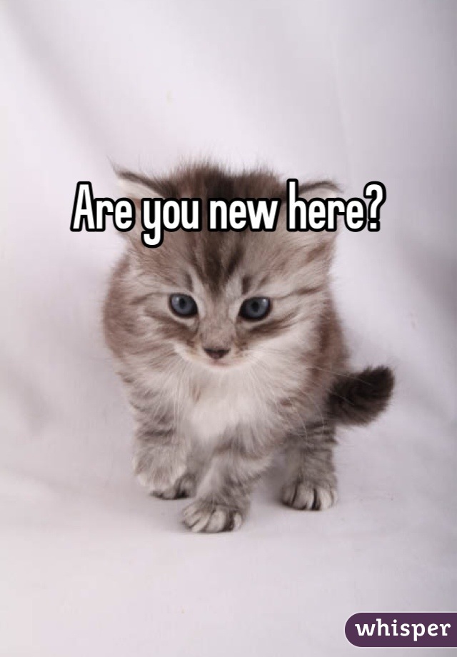 Are you new here?