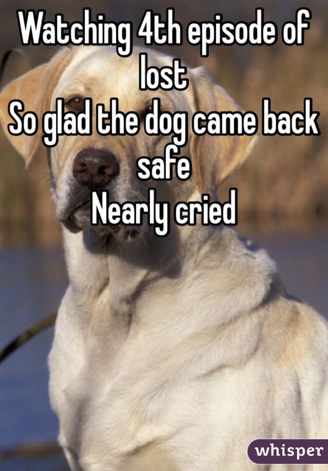 Watching 4th episode of lost 
So glad the dog came back safe
Nearly cried