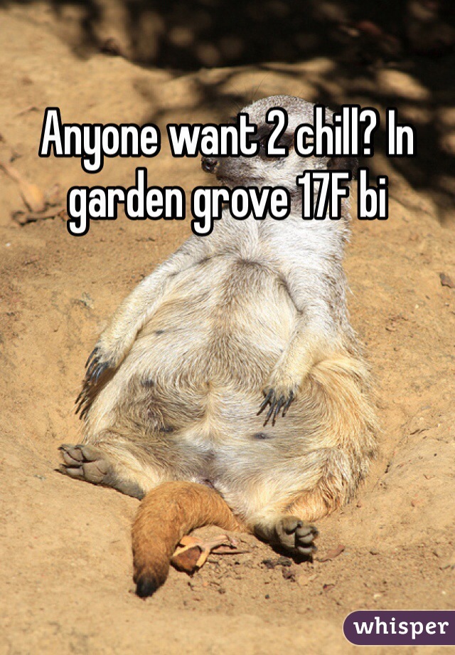 Anyone want 2 chill? In garden grove 17F bi 