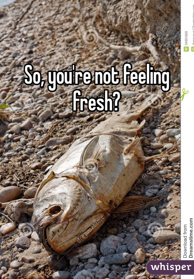 So, you're not feeling fresh?