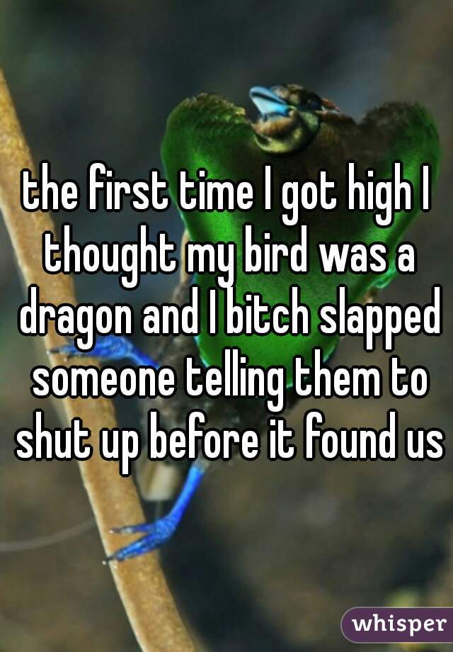 the first time I got high I thought my bird was a dragon and I bitch slapped someone telling them to shut up before it found us