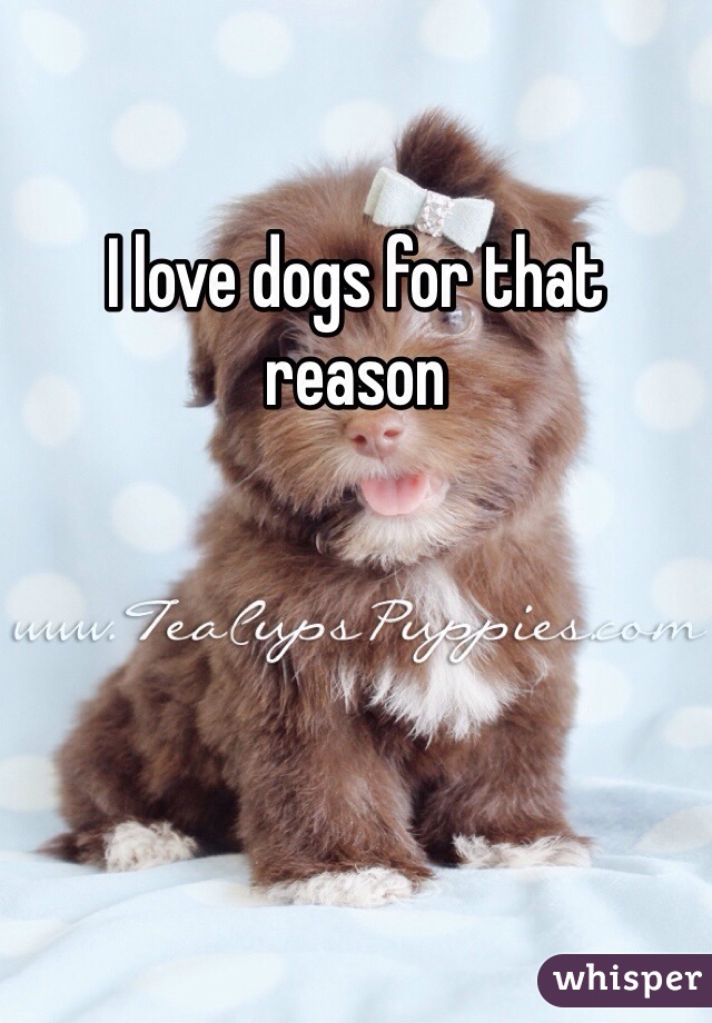 I love dogs for that reason 