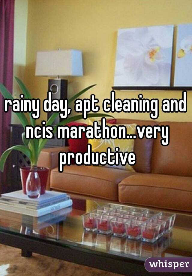 rainy day, apt cleaning and ncis marathon...very productive