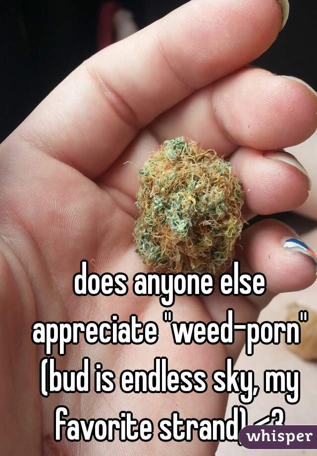  does anyone else appreciate "weed-porn" (bud is endless sky, my favorite strand) <3