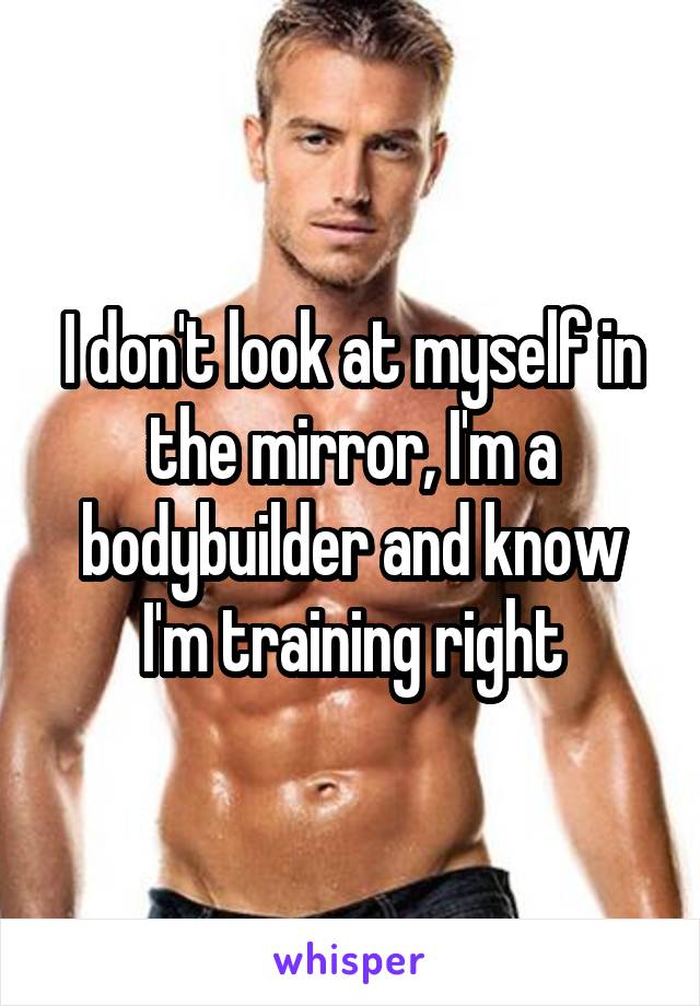 I don't look at myself in the mirror, I'm a bodybuilder and know I'm training right