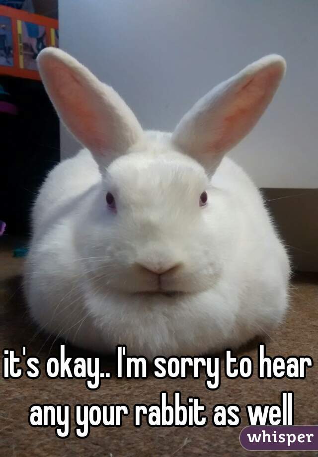 it's okay.. I'm sorry to hear any your rabbit as well