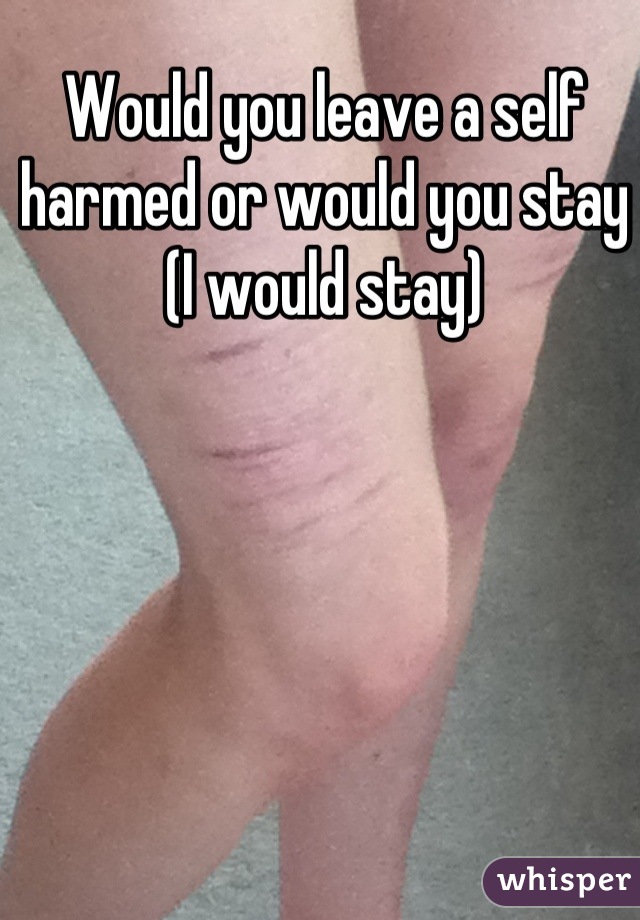 Would you leave a self harmed or would you stay
(I would stay)