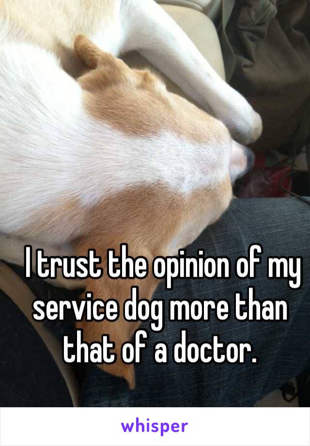  I trust the opinion of my service dog more than that of a doctor.