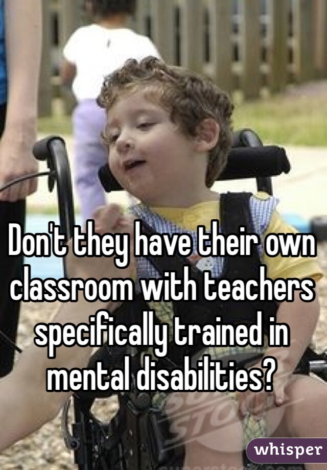 Don't they have their own classroom with teachers specifically trained in mental disabilities?