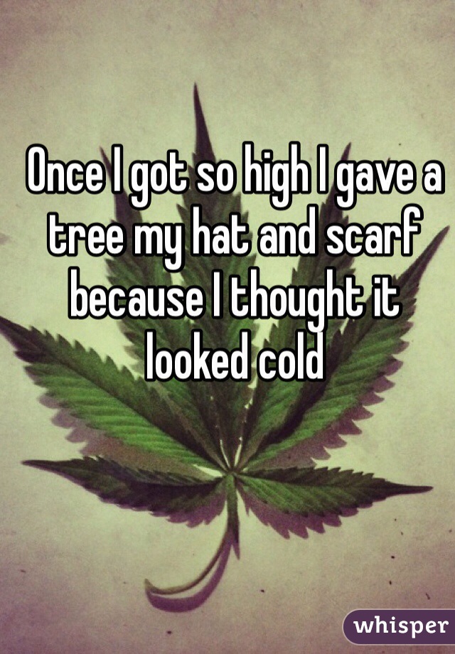 Once I got so high I gave a tree my hat and scarf because I thought it looked cold
