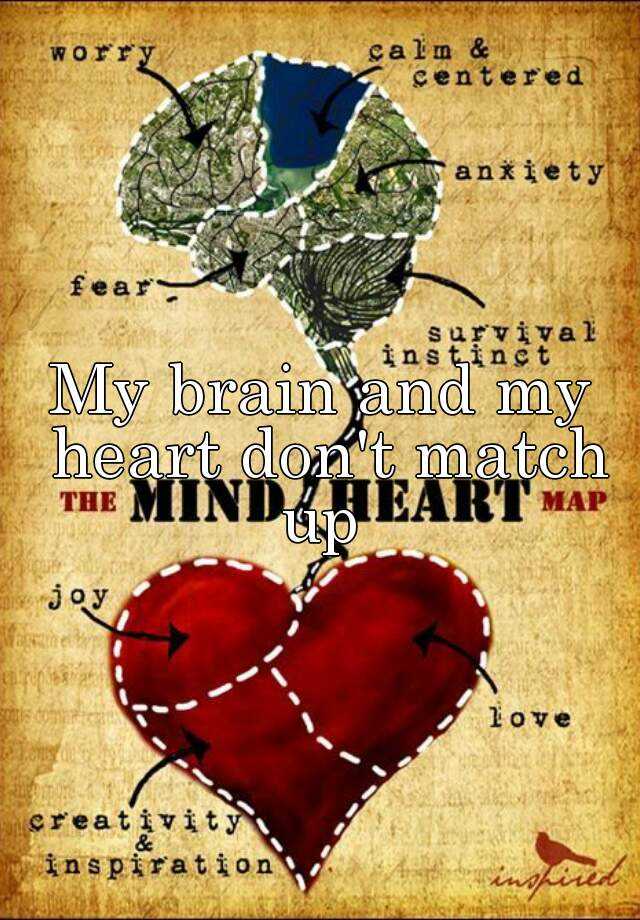 Heart over mind перевод. Mind and Heart. Инстинкт сердце мозг. Map of the Heart купить. Mind and Heart film.