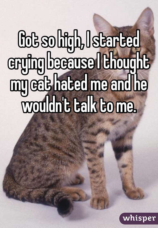 Got so high, I started crying because I thought my cat hated me and he wouldn't talk to me. 