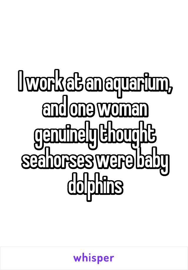 I work at an aquarium, and one woman genuinely thought seahorses were baby dolphins