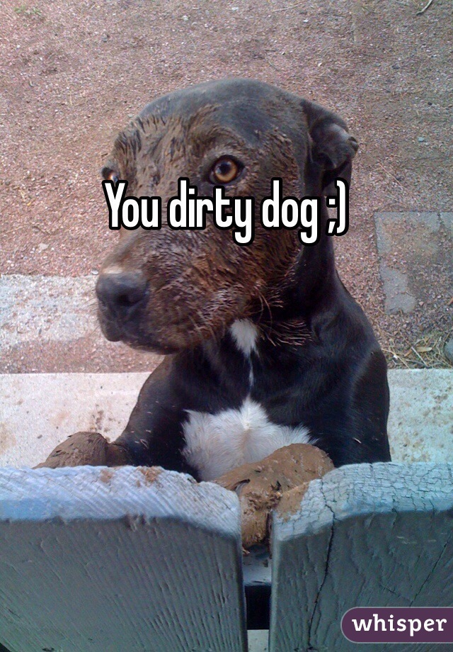 You dirty dog ;)