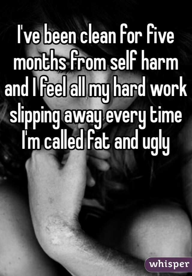 I've been clean for five months from self harm and I feel all my hard work slipping away every time I'm called fat and ugly 