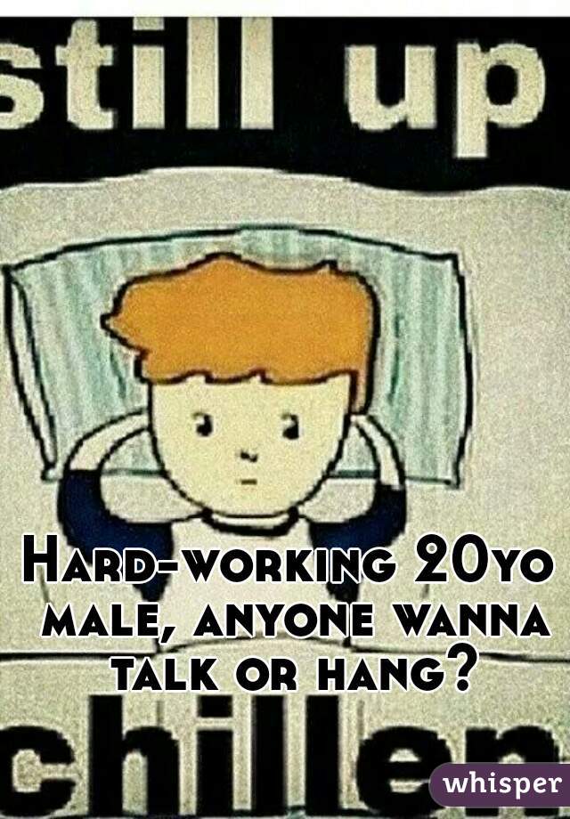 Hard-working 20yo male, anyone wanna talk or hang?