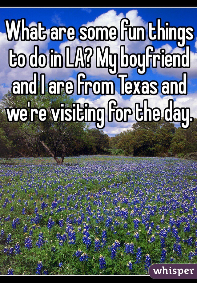 What are some fun things to do in LA? My boyfriend and I are from Texas and we're visiting for the day. 