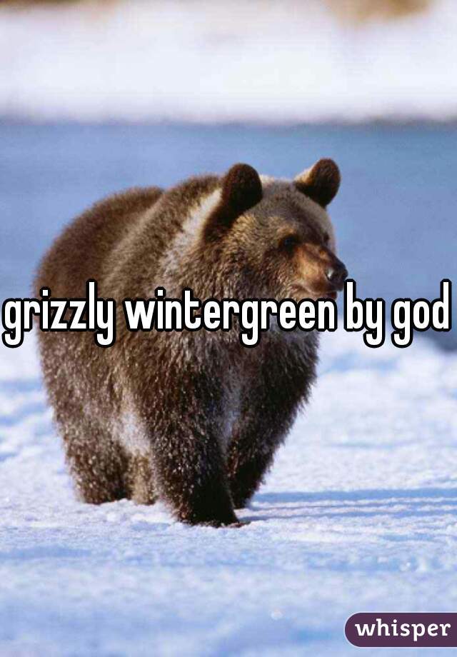 grizzly wintergreen by god