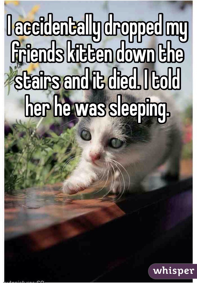 I accidentally dropped my friends kitten down the stairs and it died. I told her he was sleeping.
