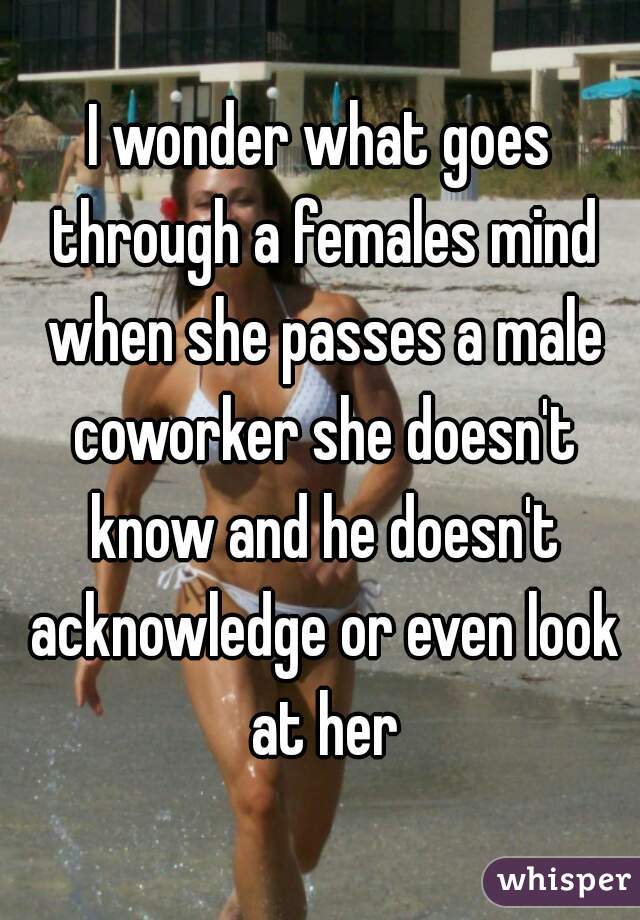 I wonder what goes through a females mind when she passes a male coworker she doesn't know and he doesn't acknowledge or even look at her