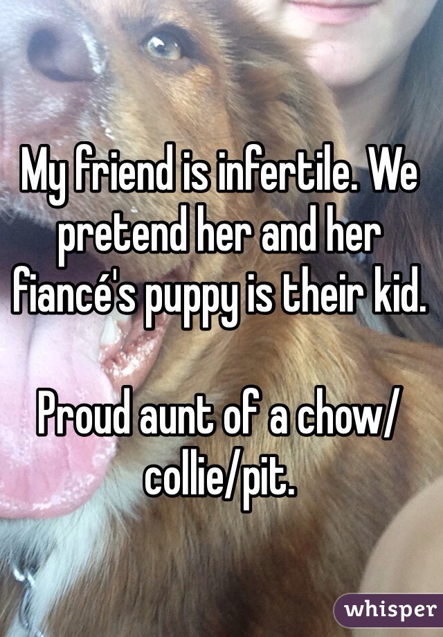 My friend is infertile. We pretend her and her fiancé's puppy is their kid.

Proud aunt of a chow/collie/pit. 