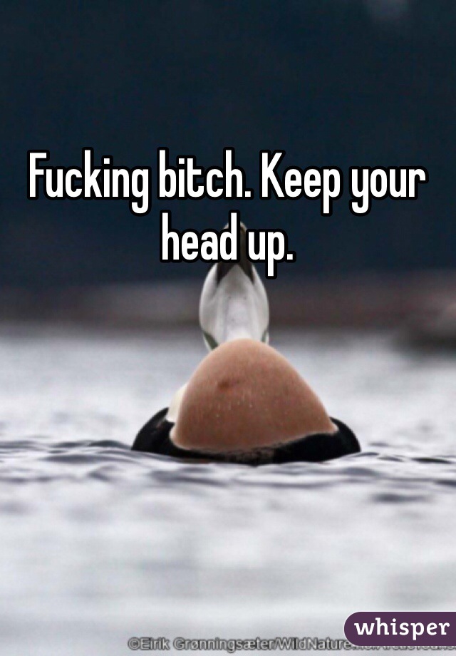 Fucking bitch. Keep your head up.