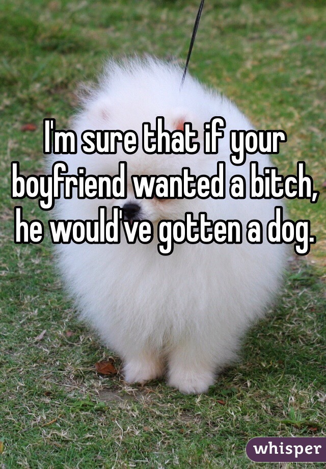 I'm sure that if your boyfriend wanted a bitch, he would've gotten a dog. 