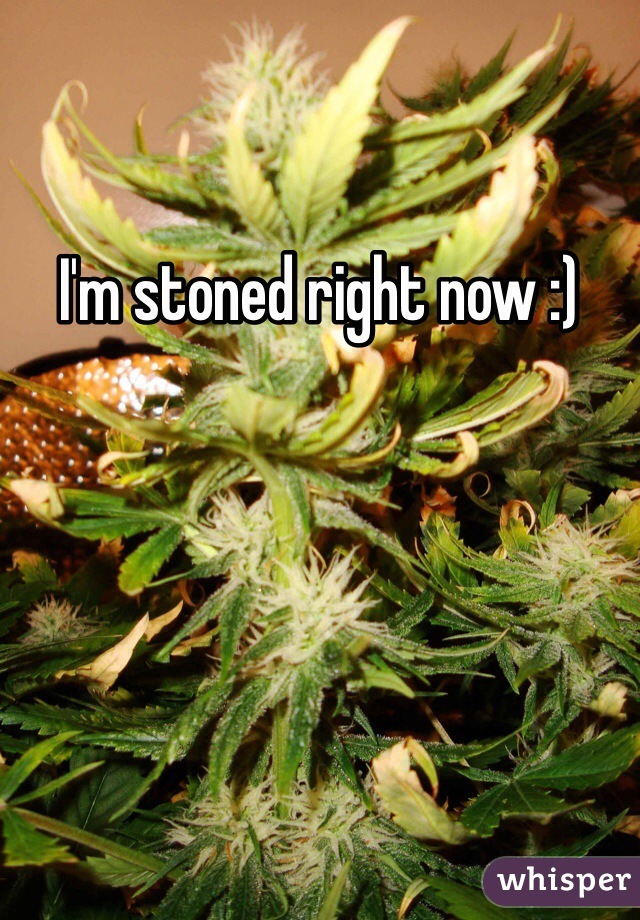 I'm stoned right now :)