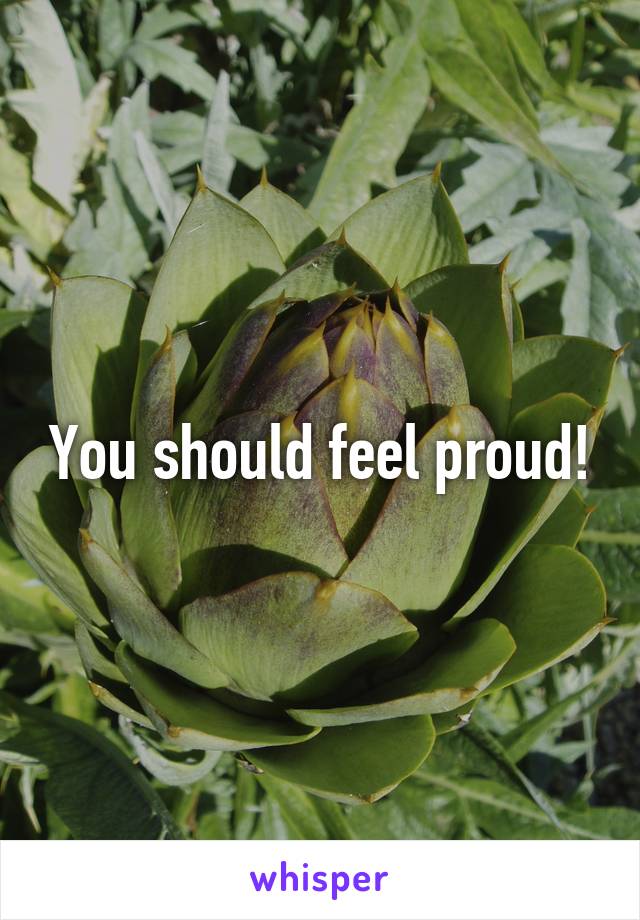 You should feel proud!