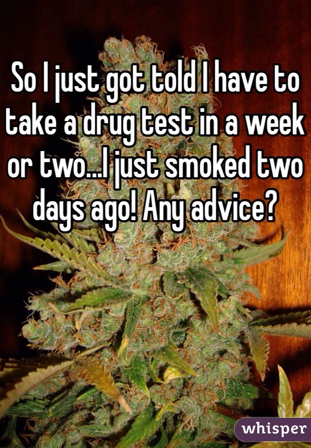 So I just got told I have to take a drug test in a week or two...I just smoked two days ago! Any advice?