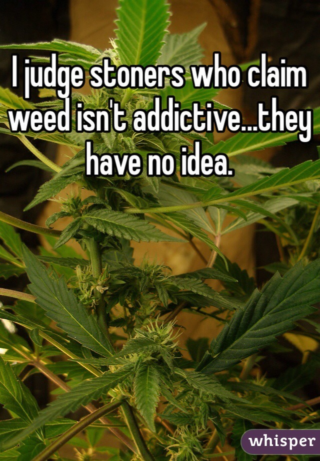 I judge stoners who claim weed isn't addictive...they have no idea. 