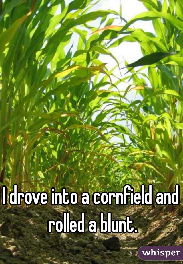 I drove into a cornfield and rolled a blunt.