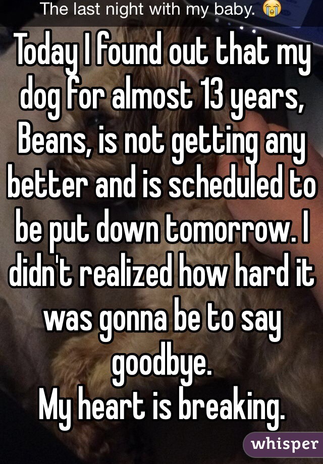 Today I found out that my dog for almost 13 years, Beans, is not getting any better and is scheduled to be put down tomorrow. I didn't realized how hard it was gonna be to say goodbye.
My heart is breaking.  