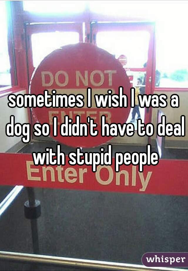 sometimes I wish I was a dog so I didn't have to deal with stupid people